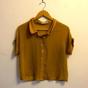 Sheer Cropped Short Sleeve Top